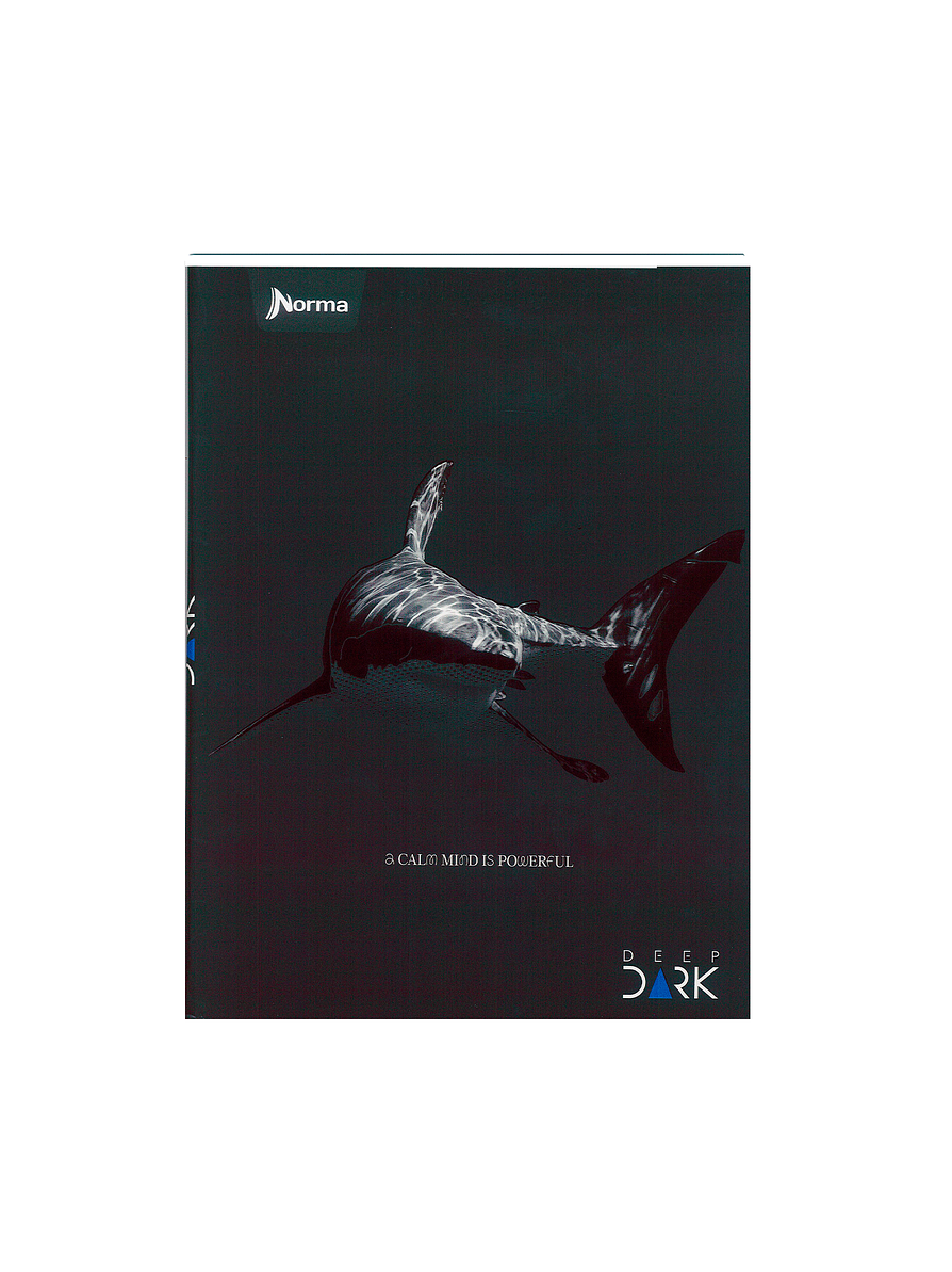 Cuaderno Cosido Pasta Dura Deep Dark 90 Hojas Cuadros 2