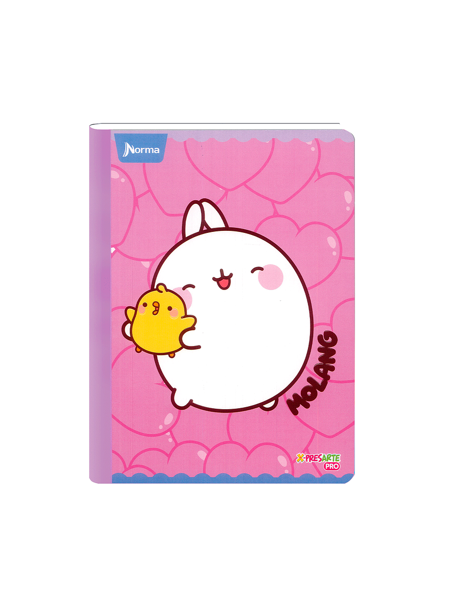Cuaderno Cosido Norma Molang 100 Hojas Cuadros 2