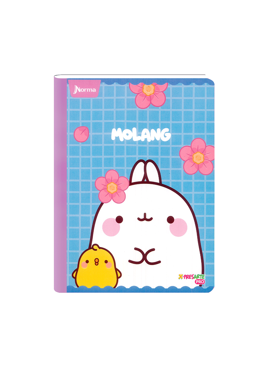 Cuaderno Cosido Norma Molang 50 Hojas Cuadros 3