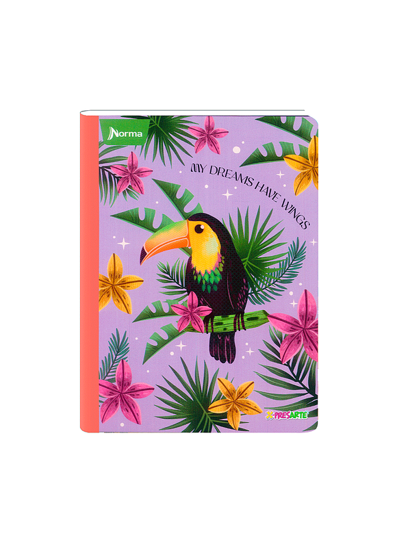 Cuaderno Cosido Norma X-Presarte Femenino 100 Hojas Cuadros 5
