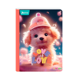 Cuaderno Cosido Norma X-Presarte Femenino 50 Hojas Cuadros