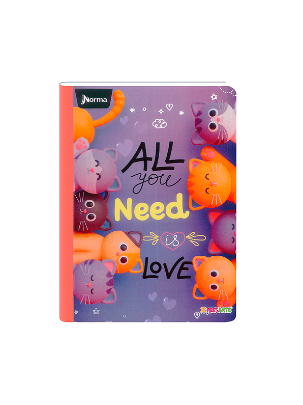 Cuaderno Cosido Norma X-Presarte Femenino 50 Hojas Cuadros 4