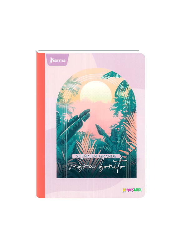 Cuaderno Cosido Norma X-Presarte Femenino 50 Hojas Cuadros 5