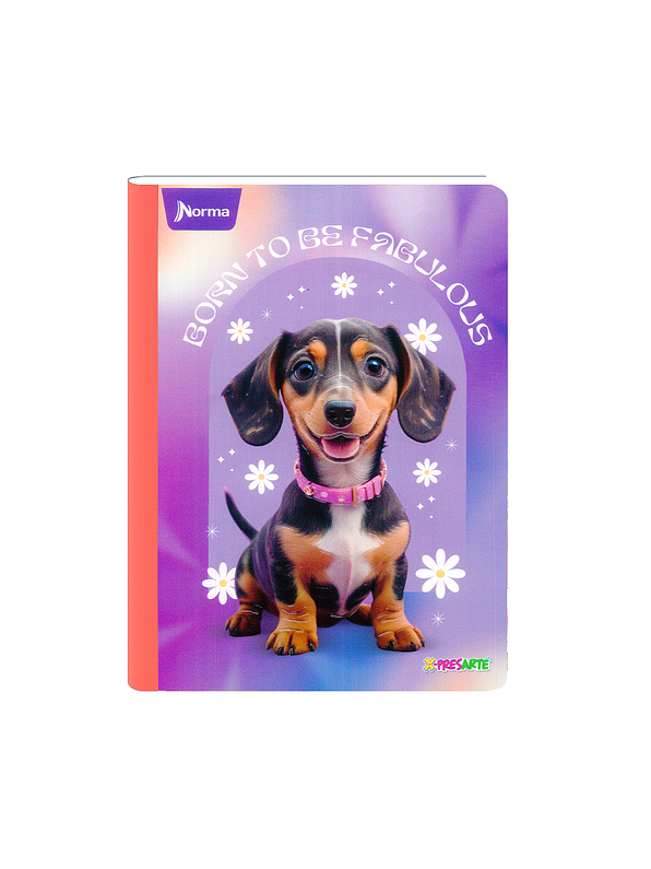 Cuaderno Cosido Norma X-Presarte Femenino 50 Hojas Cuadros 6