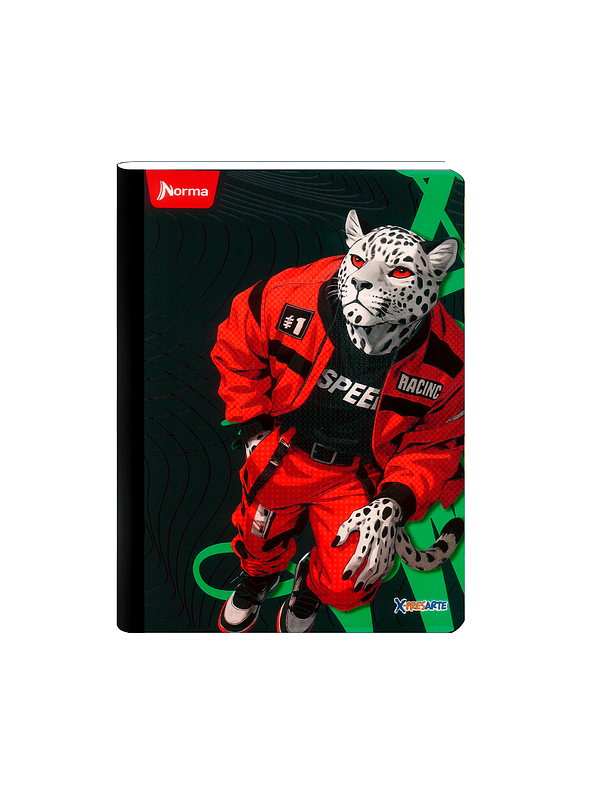 Cuaderno Cosido Norma X-Presarte Masculino 100 Hojas Cuadros 1