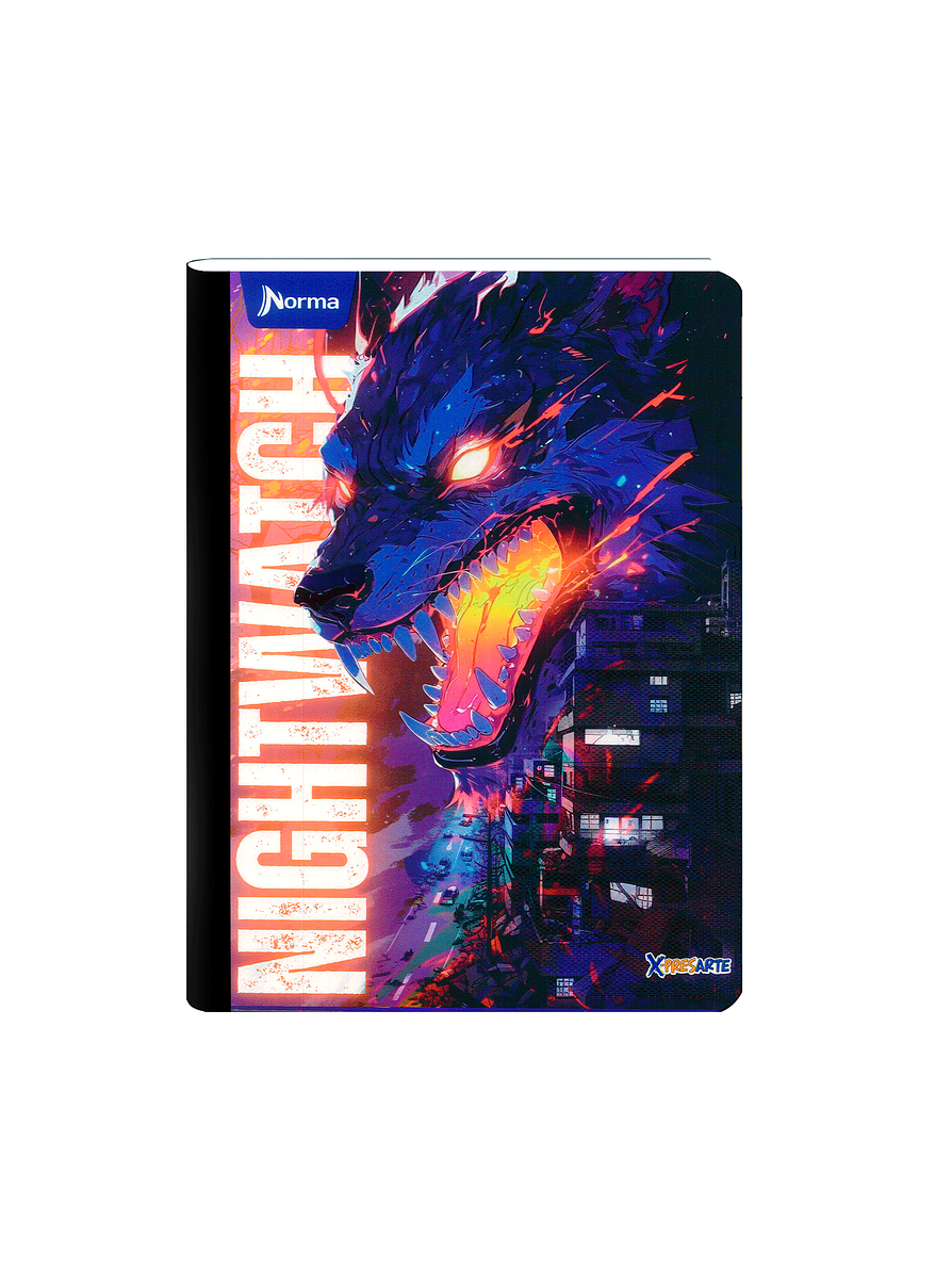 Cuaderno Cosido Norma X-Presarte Masculino 100 Hojas Cuadros 6