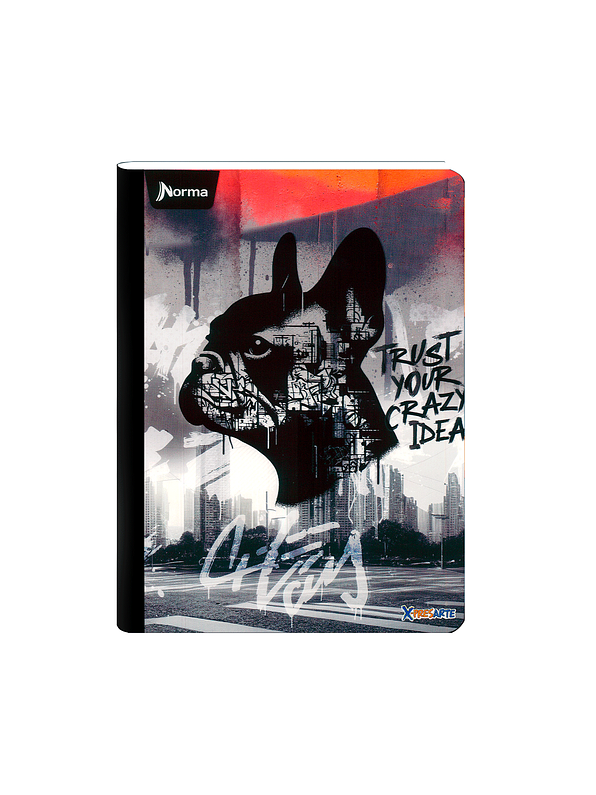 Cuaderno Cosido Norma X-Presarte Masculino 50 Hojas Cuadros 10