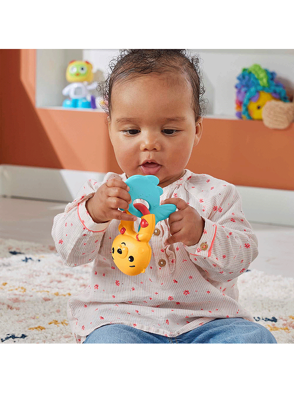 Fisher-Price Anillos Animales Surtidos 5