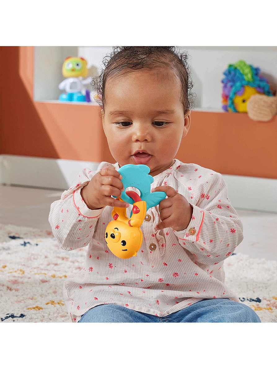 Fisher-Price Anillos Animales Surtidos 5
