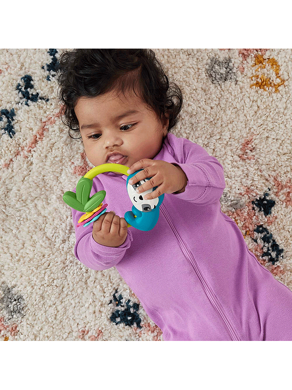 Fisher-Price Anillos Animales Surtidos 6