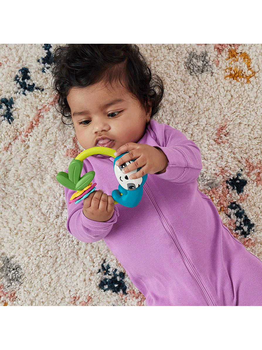 Fisher-Price Anillos Animales Surtidos 6