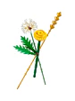 Lego Botanicals Flores De Campo - Miniatura 2