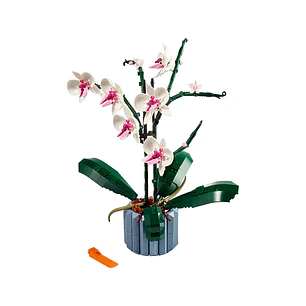 Lego Botanicals Orquídeas 