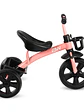 Triciclo Trike Pink - Miniatura 2