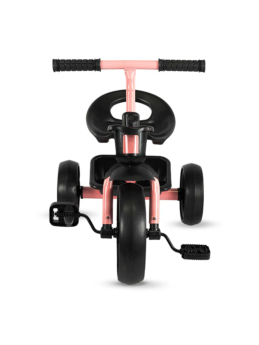 Triciclo Trike Pink 1
