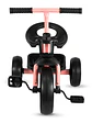 Triciclo Trike Pink - Miniatura 1