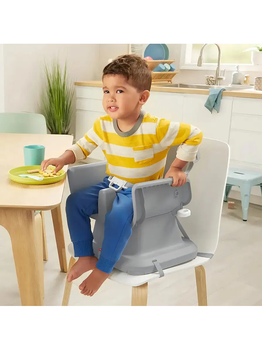 Fisher Price Silla Compacta Y Portátil 3