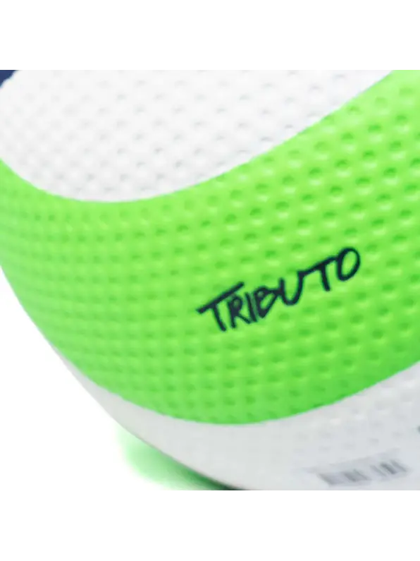Balón De Voleibol Profesional Golty Tributo #5 Verde/Azul 7