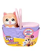 Little Live Pets Mamá Gata Sorpresa - Miniatura 1