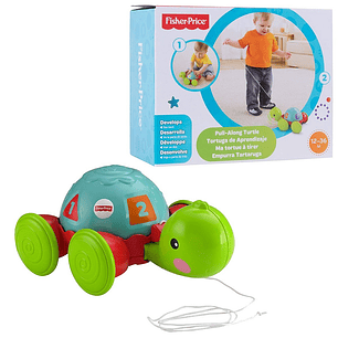 Fisher Price Tortuga De Aprendizaje
