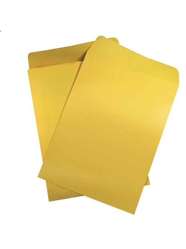 Sobre de manila 1/2 oficio 1