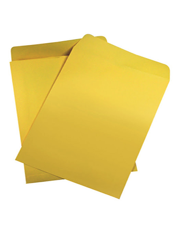 Sobre de manila gigante 1