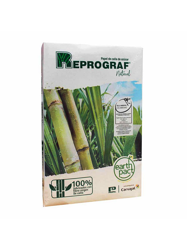 Resma Carta Natural 1