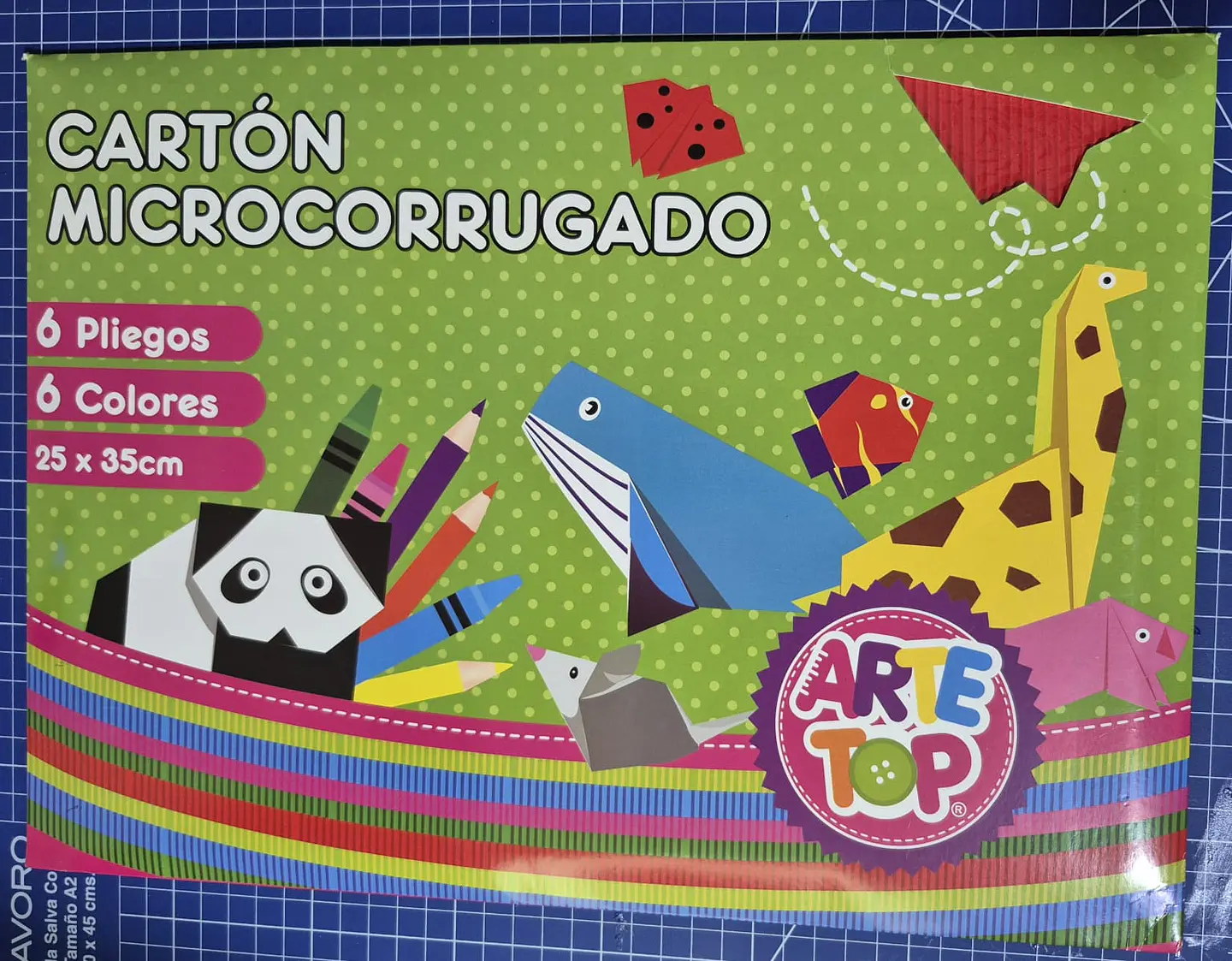 Carp. Carton Microcorrugado 1