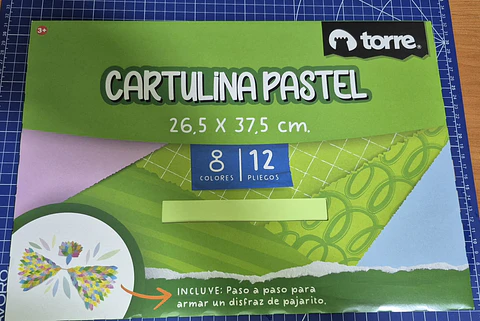Carp. Escolar Cartulina Pastel 12 Hjs