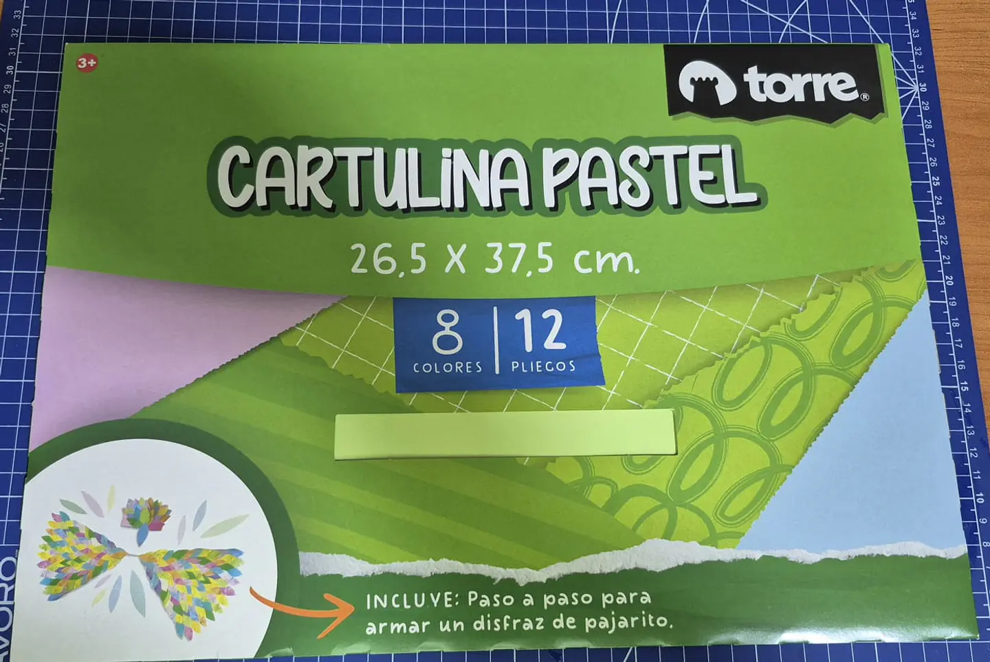 Carp. Escolar Cartulina Pastel 12 Hjs 1