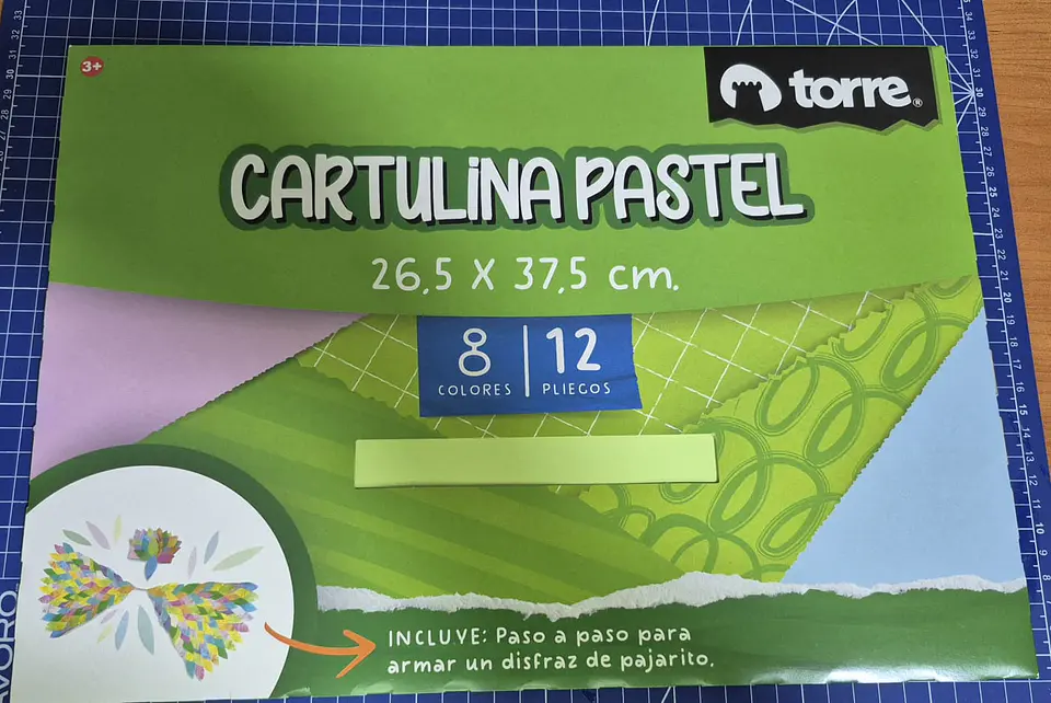 Carp. Escolar Cartulina Pastel 12 Hjs 1