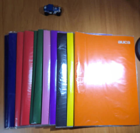 Carpeta S/acco Clip Plastificada