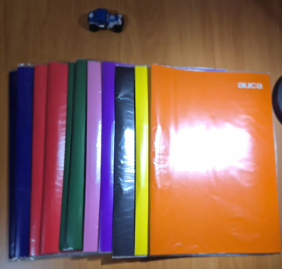 Carpeta S/acco Clip Plastificada 2