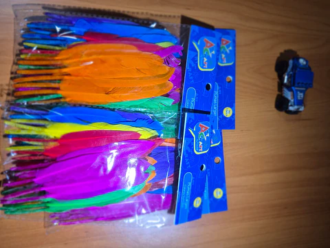 Plumas Colores Surtidos