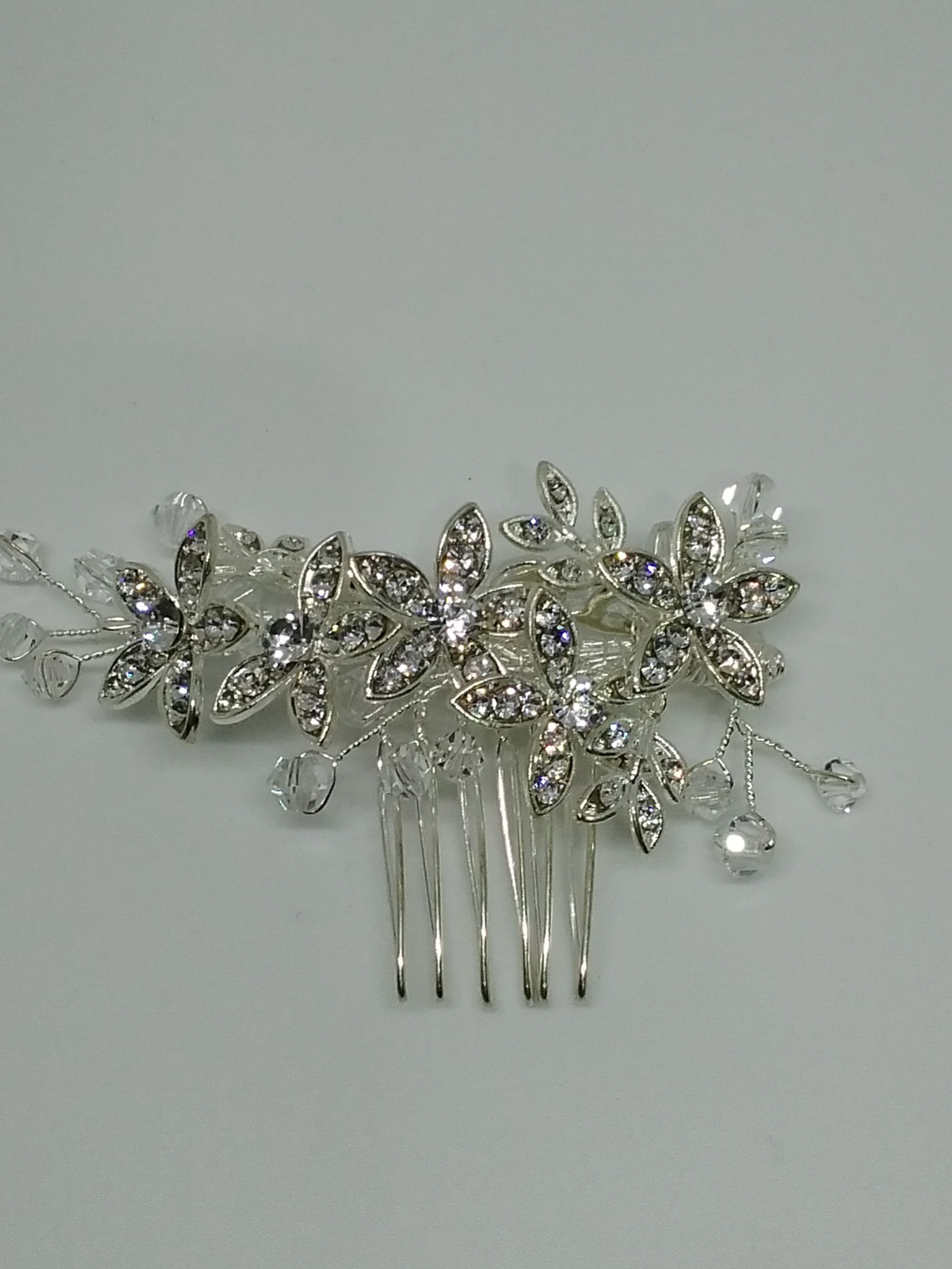 Peineta Plateada (1) 1