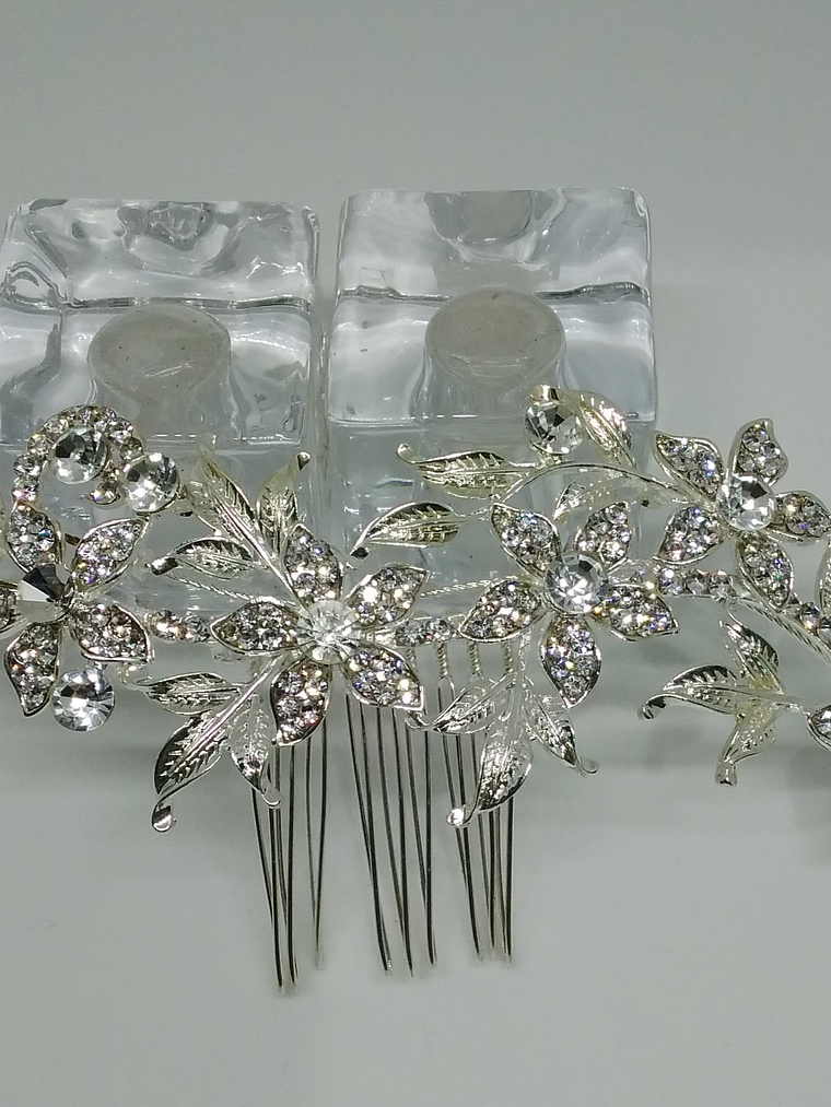 Peineta Plateada (2) 1