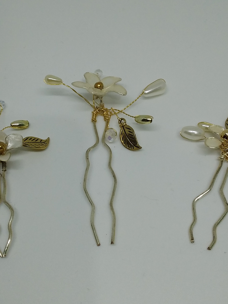 Conjunto de Horquillas 1