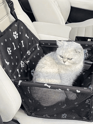 Bolso transportador para auto