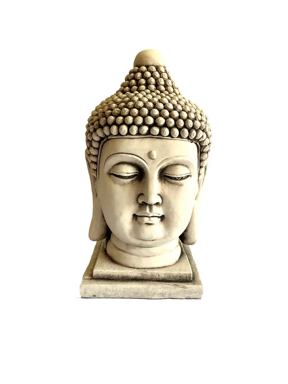 Cabeza de Siddhartha 1