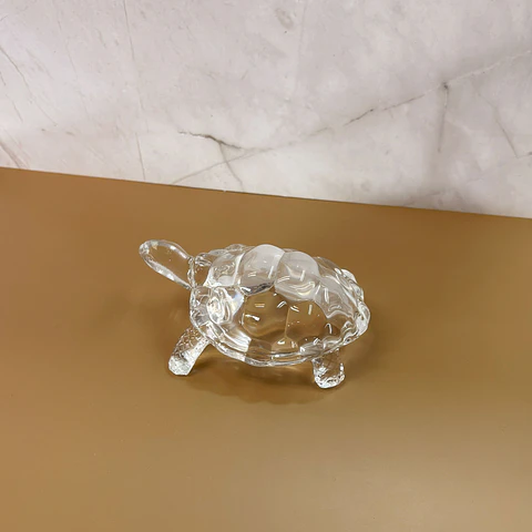 Tortuga de vidrio