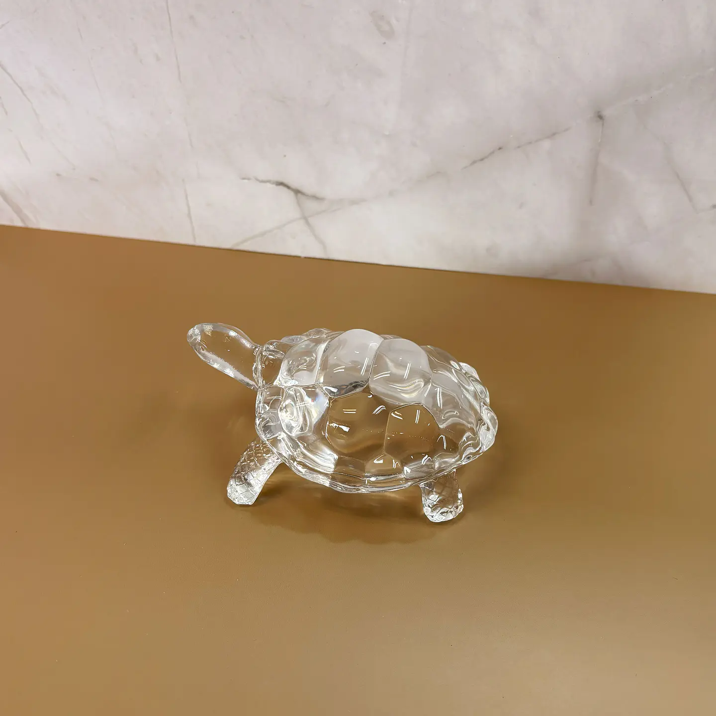 Tortuga de vidrio 1