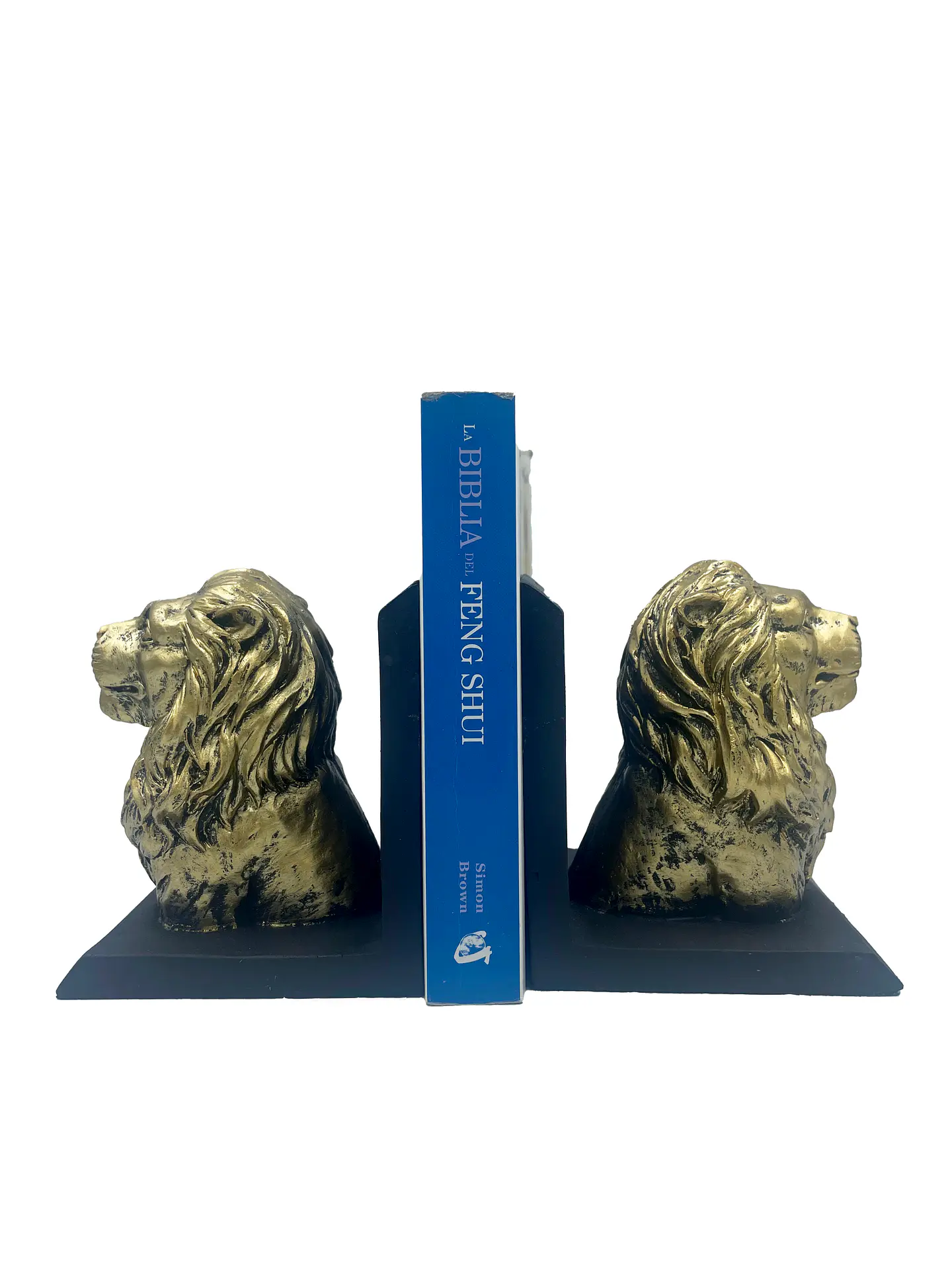 Sujeta libros de leones 1