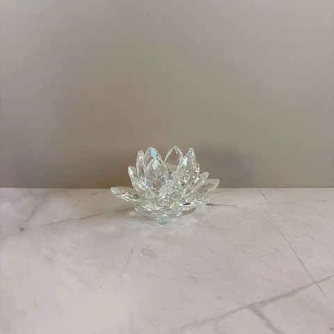 Flor de loto transparente pequeña