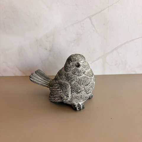 Pájaro gris