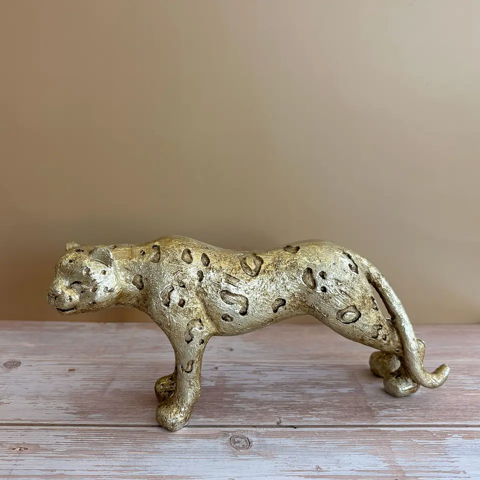 Leopardo dorado 1