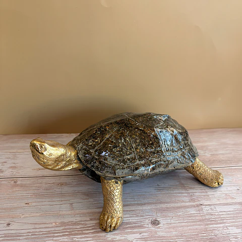 Tortuga 