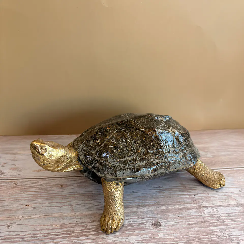 Tortuga  1