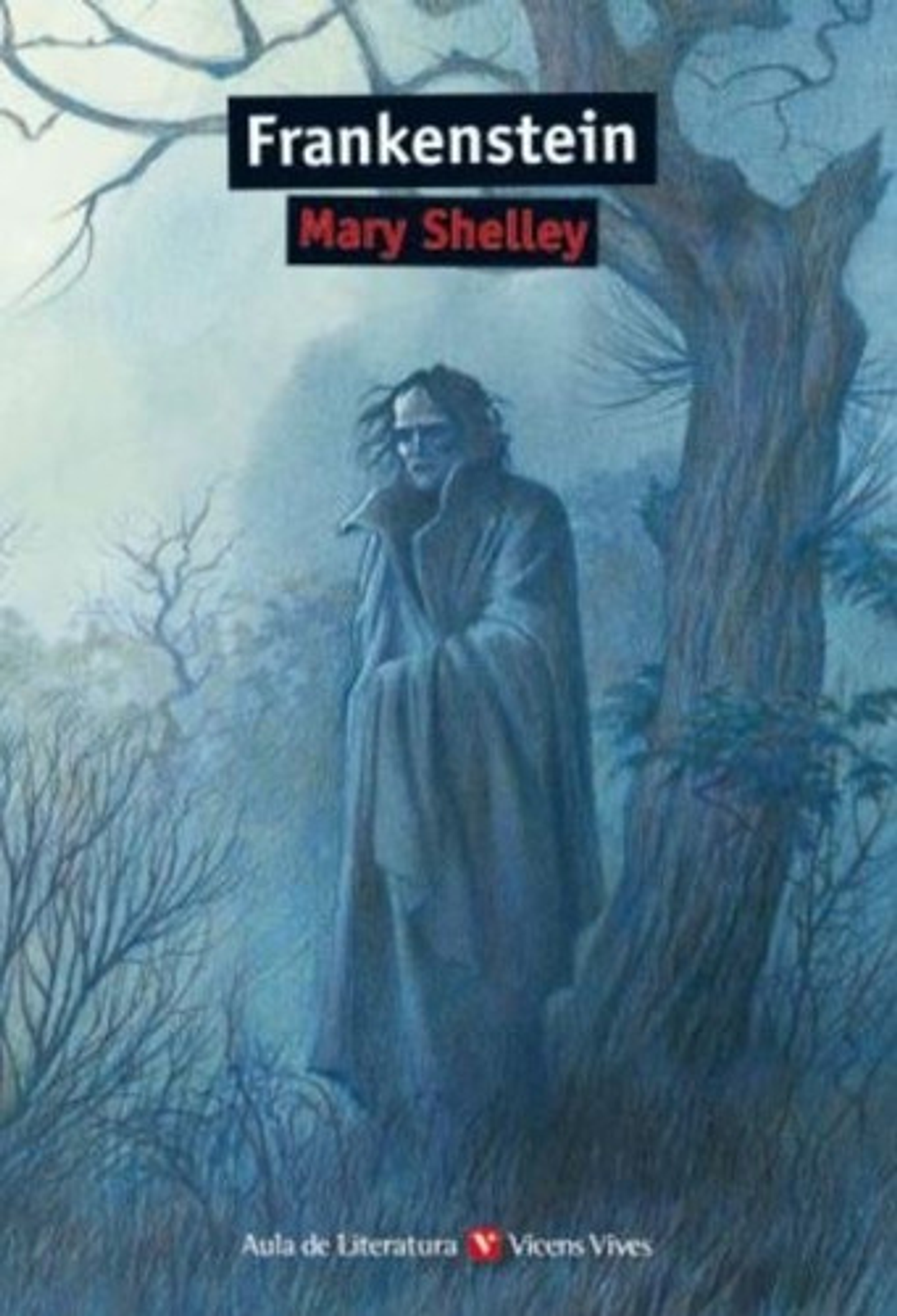 Frankenstein - Mary Shelley, Vicens Vives, Blanda 1