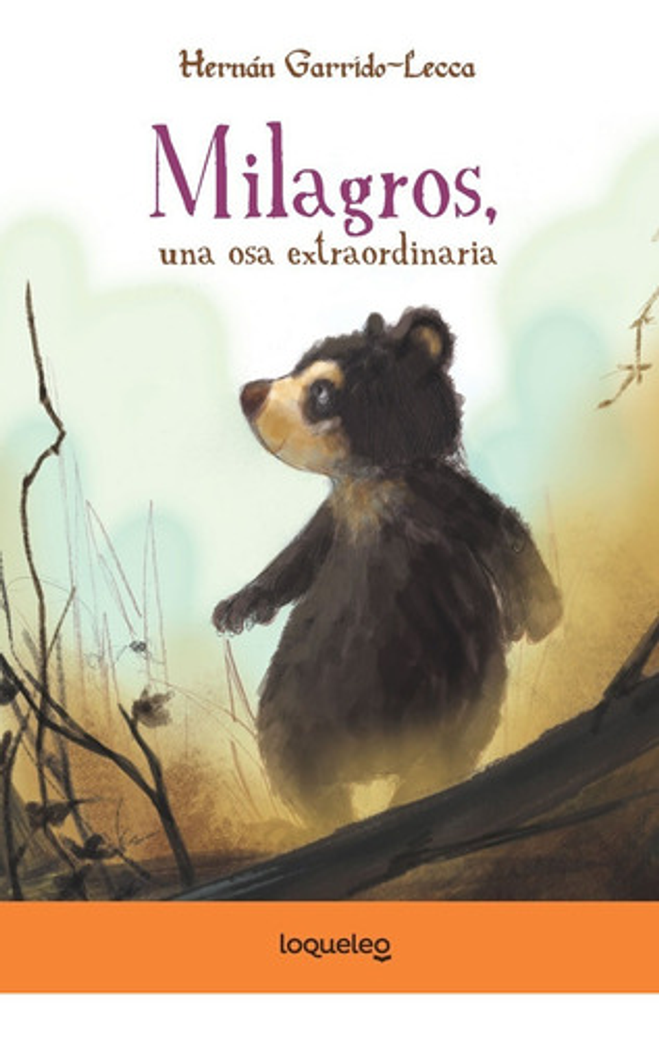 Gros, Una Osa Extraordinaria, De Hernán Garrido-lecca. Editorial Santillana, Tapa Blanda En Español 1
