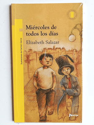 Miércoles De Todos Los Días - Elizabeth Salazar 